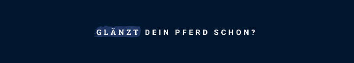 haar pferdepflege glaenzt dein pferd schon haar pferdepflege glaenzt dein pferd schon
